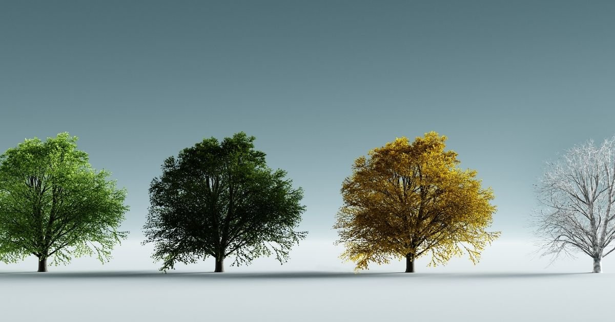 Viver em harmonia com as estações do ano - princípio de Yang Sheng